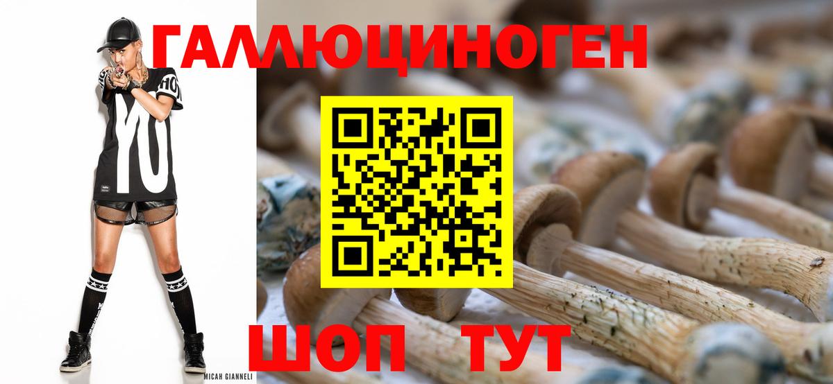 Псилоцибиновые грибы ЛСД Сердобск